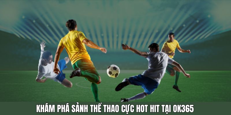 Khám phá sảnh thể thao cực hot hit tại OK365