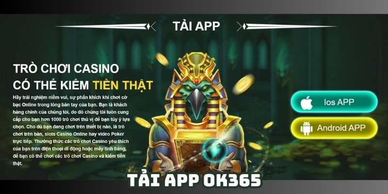 Quy trình tải app OK365