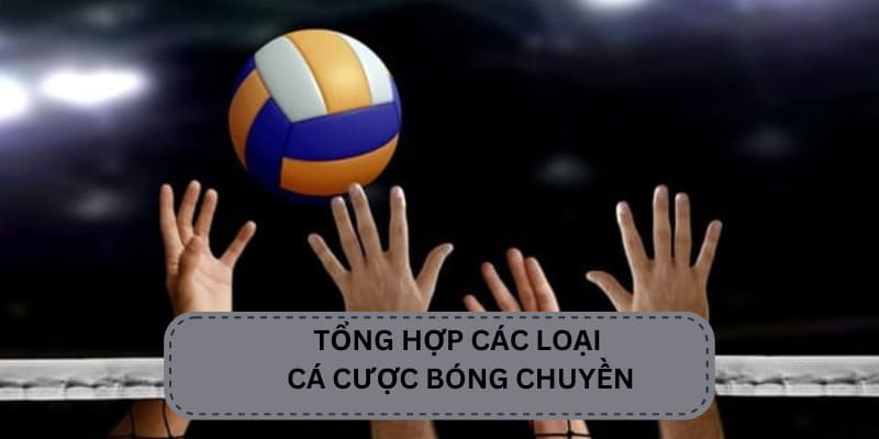 Các loại cá cược bóng chuyền tại OK365