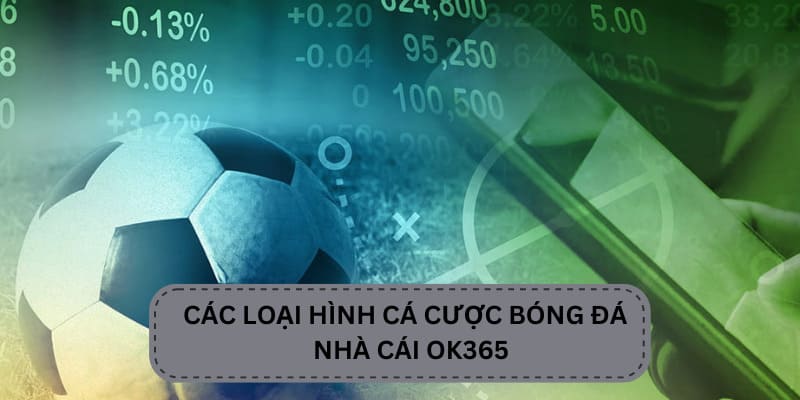 tổng hợp những loại cá cược bóng đá tại OK365