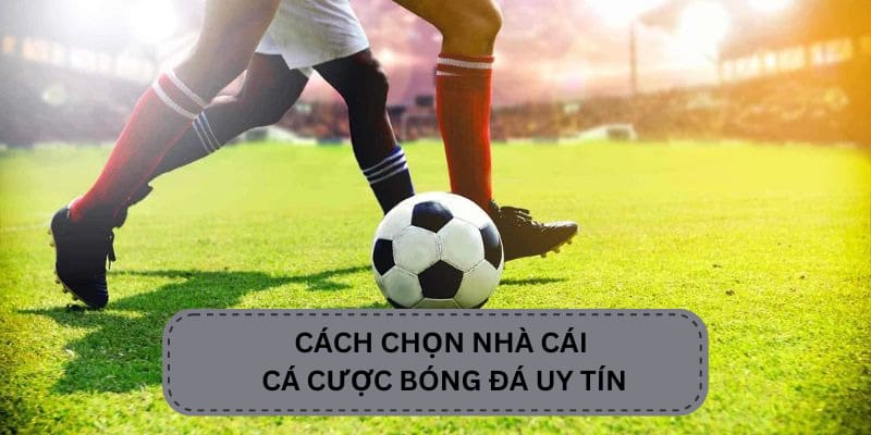 Hướng dẫn bạn cách chọn cá cược bóng đá uy tín 