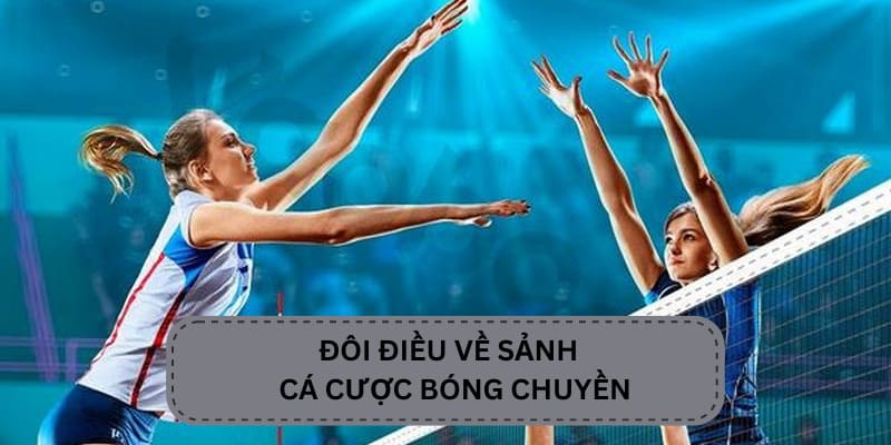 Giới thiệu cá cược bóng chuyền OK365