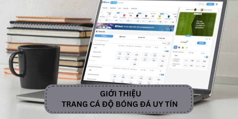 Giới thiệu trang cá độ bóng đá uy tín