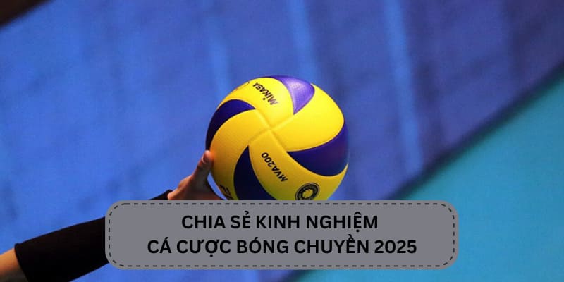 Chia sẻ kinh nghiệm cá cược bóng chuyền hiệu quả tại ok365