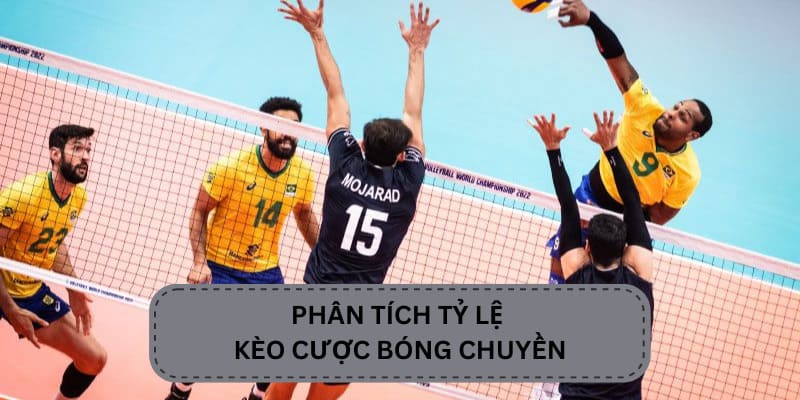 Cách phân tích tỷ lệ kèo cá cược bóng chuyền tại OK365 