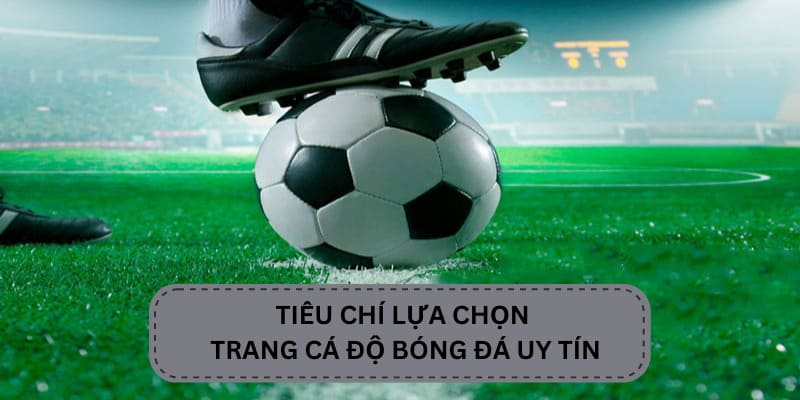 Tiêu chí lựa chọn trang cá độ bóng đá uy tín